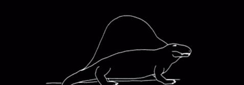 src-TVRZNMTY4ODAyMTk3MQaHR0cHM6Ly9pLmd1YW5jaGEuY24vbmV3cy8yMDE4LzA1LzAzLzIwMTgwNTAzMTcwMDA2NTI4LmdpZg==.jpg