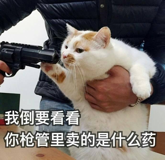 神武表情包下载链接_神武表情包下载_神武表情包手机版下载