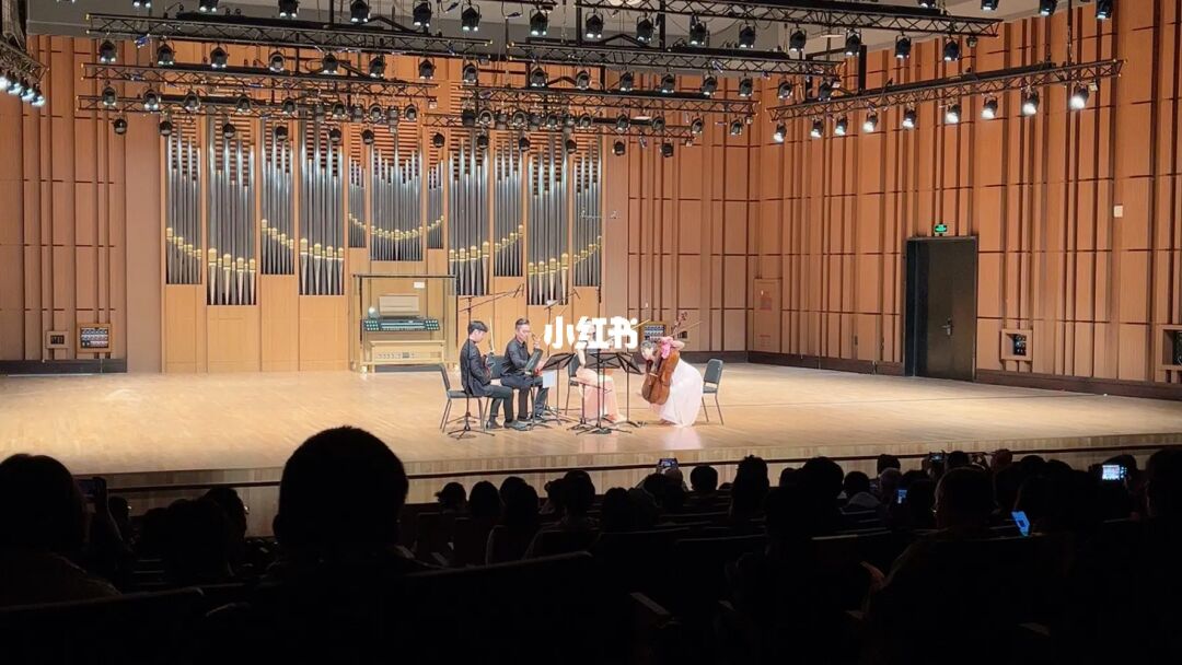游戏音乐会_音乐游戏会跳舞的叶子_音乐游戏会跳舞的叶子反思