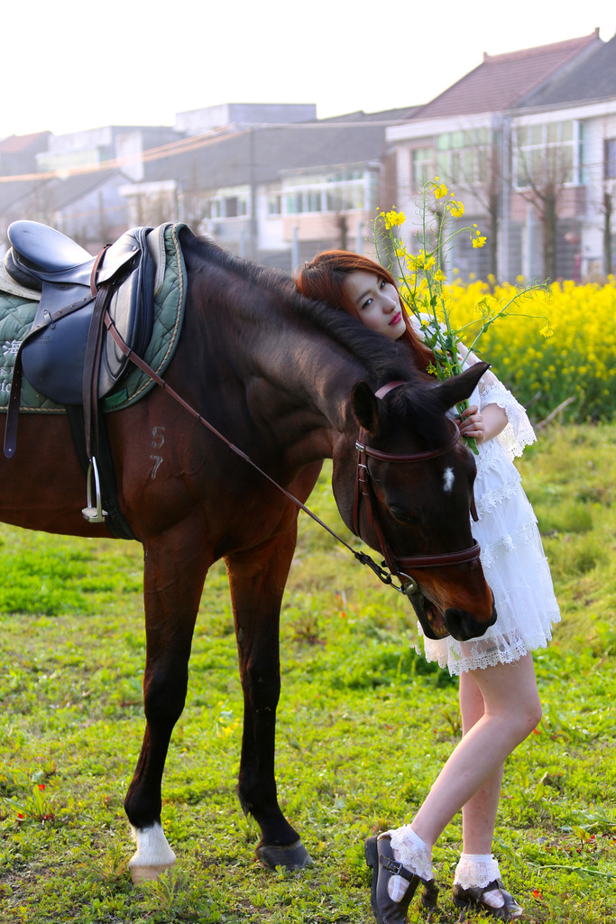 美女骑马游戏_美女跟男生玩骑马游戏_骑马俱乐部美女和马