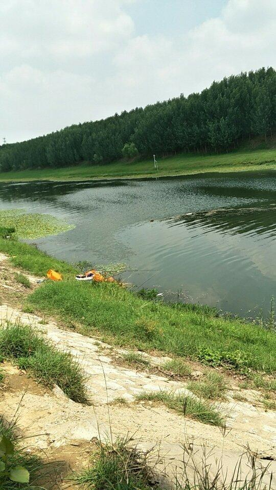 视频河流鲫鱼野钓图片_河流野钓鲫鱼视频_野河钓大鲫鱼的视频