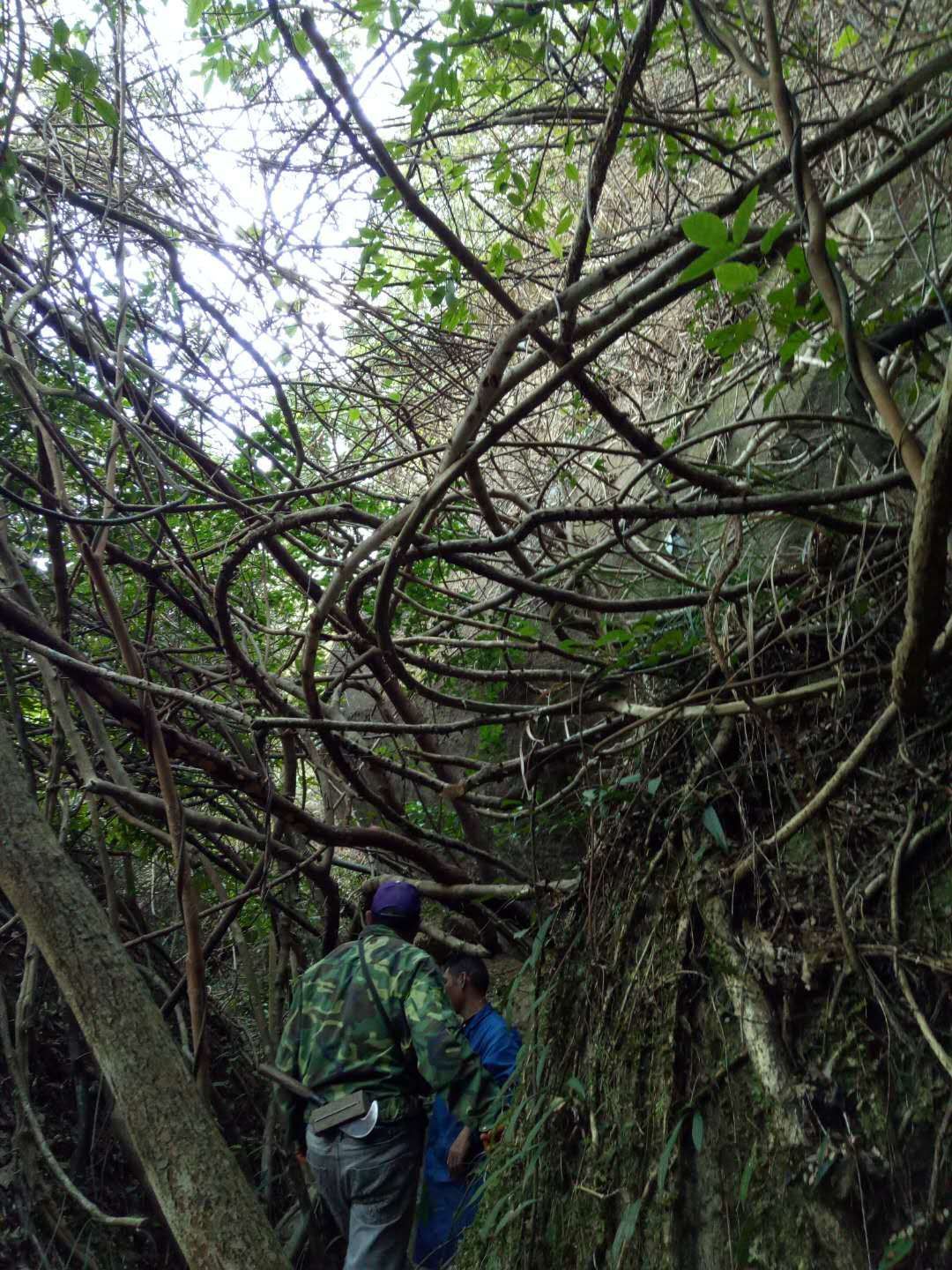 一个游戏逃出爱丽丝疯人院_逃出青龙山游戏_逃出监狱跑酷游戏
