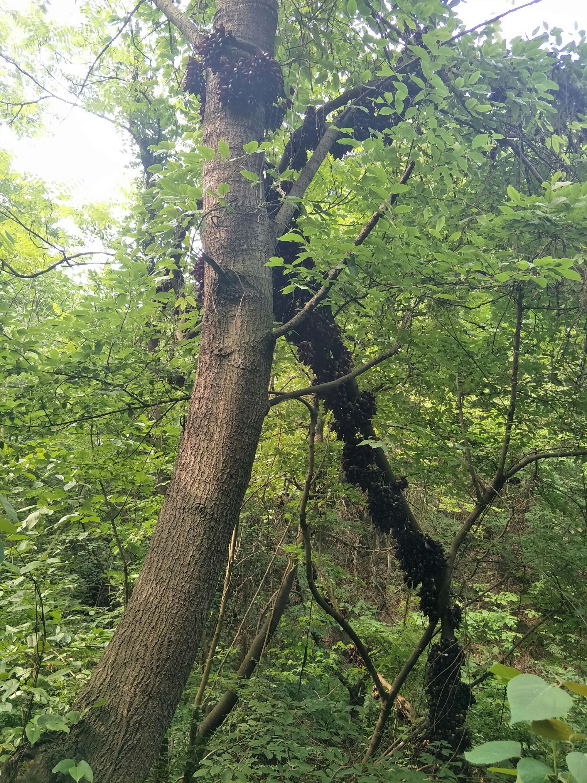 逃出监狱跑酷游戏_一个游戏逃出爱丽丝疯人院_逃出青龙山游戏