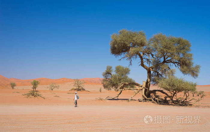 非洲人最喜欢的游戏_非洲喜欢游戏人多吗_非洲人玩游戏