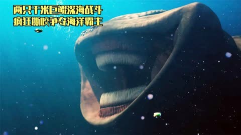 海上登陆战_登陆海战英豪是谁_海战英豪登陆