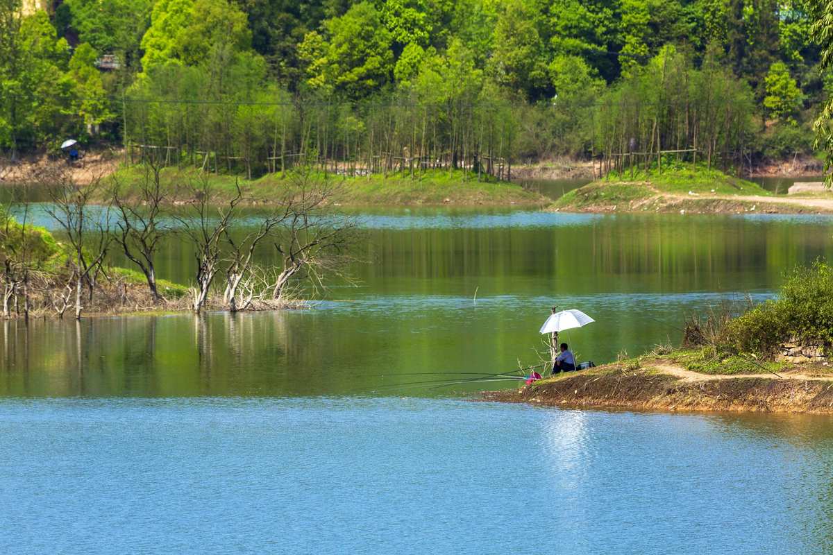 冬季钓鱼用漂_冬天用浮漂_夏天和冬天钓鱼看漂游戏
