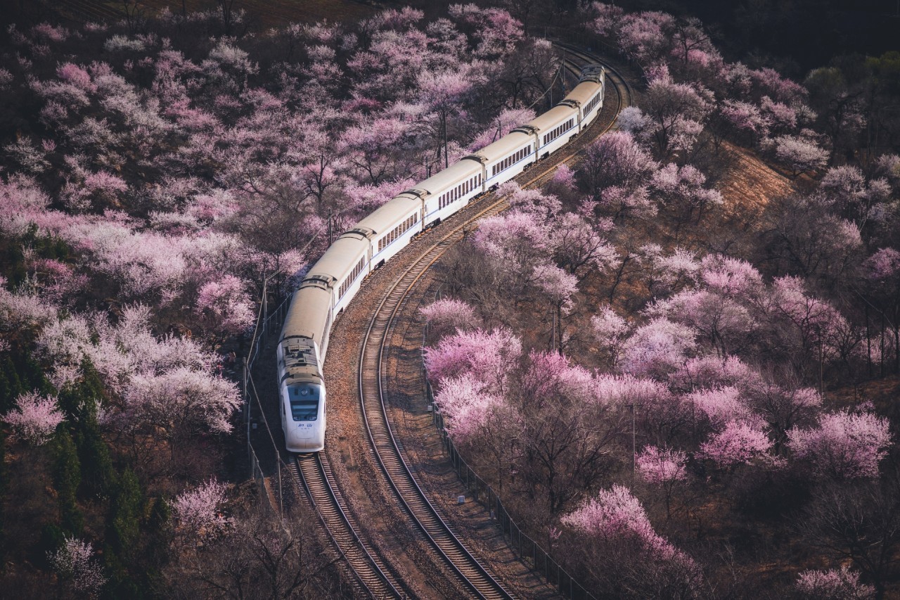 火车图片简笔画_火车图片真实大全_火车图片