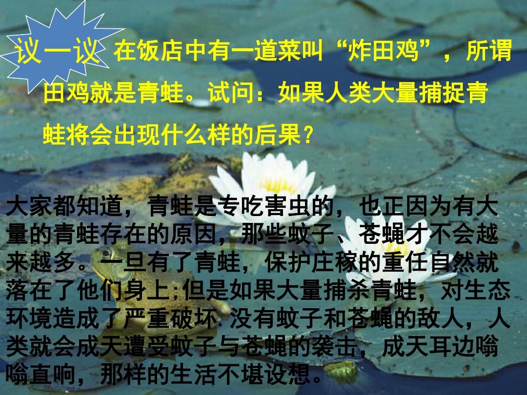 青蛙吃苍蝇视频_青蛙吃苍蝇的作文_游戏厅里有个青蛙吃苍蝇加血的游戏