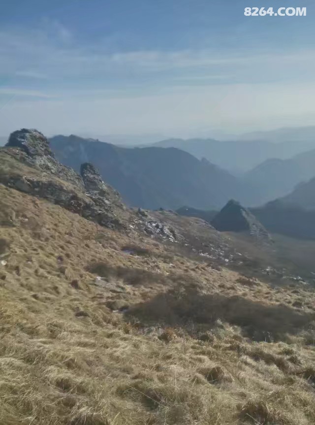 寂寞岭介绍_寂寞岭游戏_寂寞岭起源