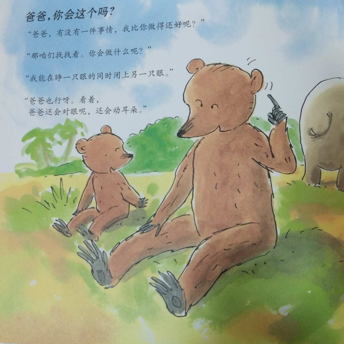 小熊和最好的爸爸做游戏_小熊爸爸绘本_小熊爸爸动画片
