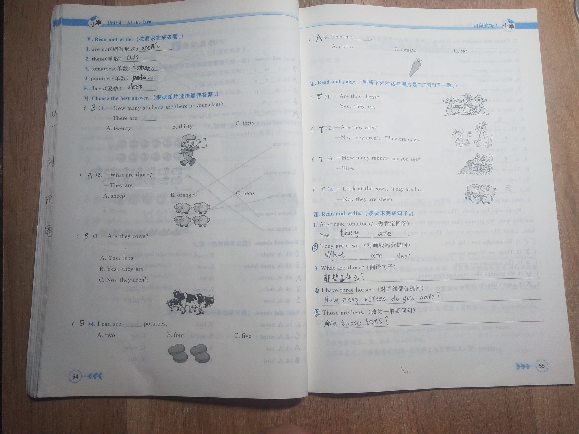 小学六年级上册英语辅导视频_六年级上册英语辅导视频教学_英语视频6年级上册