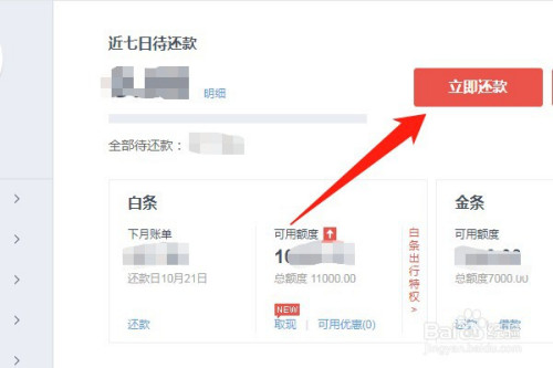 京东怎么提前还款白条分期_京东白条提前还分期付款_还款分期京东白条提前全部还清