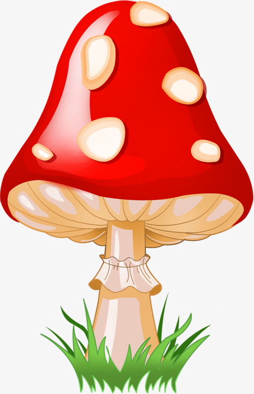蘑菇红色的伞白色的杆_蘑菇红色的_红色蘑菇