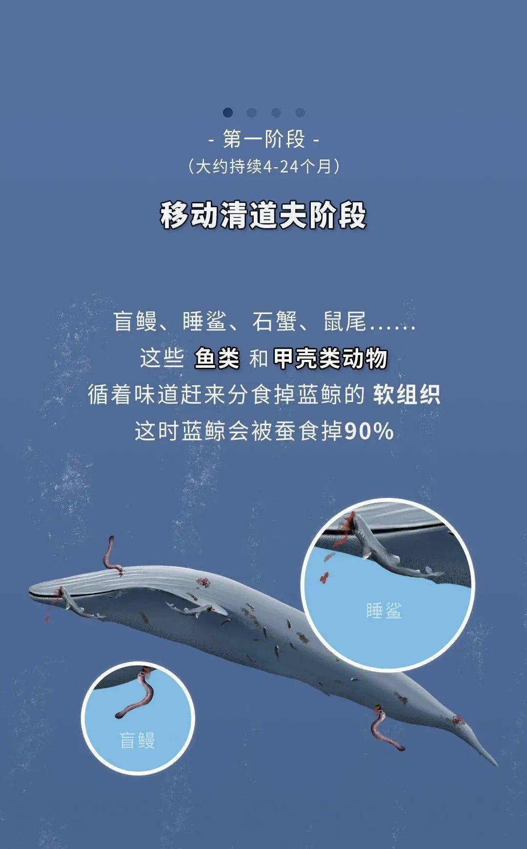 大鱼官方网_大鱼号官网_大鱼旗舰店