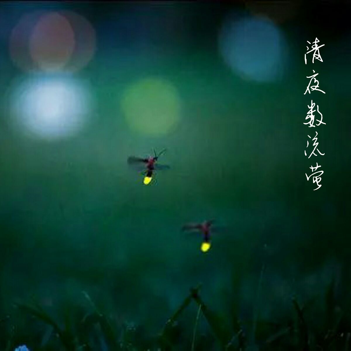 永劫无间萤火虫_永劫无间萤火虫加多少怒气_萤火虫位置永劫