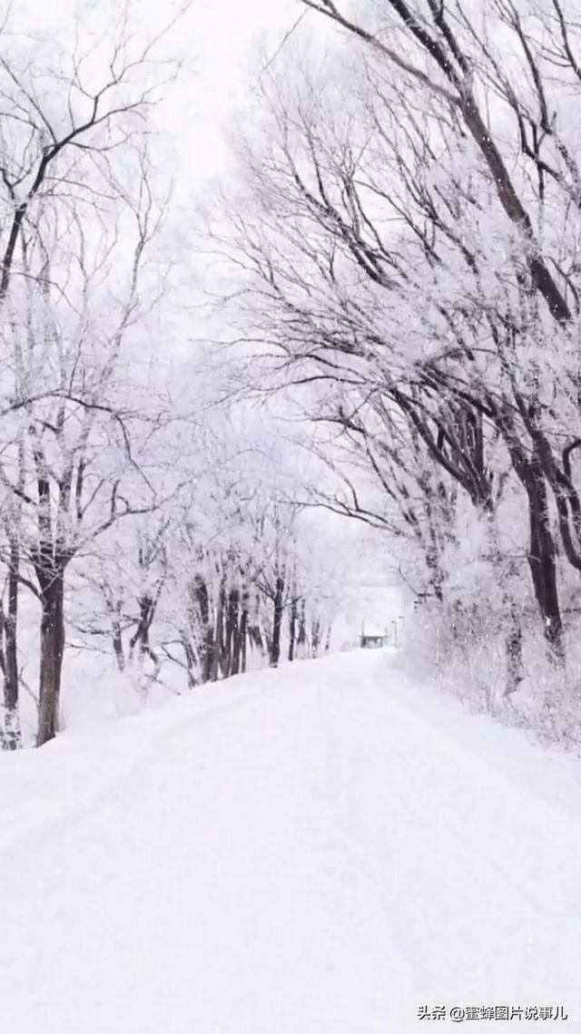 葬雪歌曲_雪葬_葬雪心经