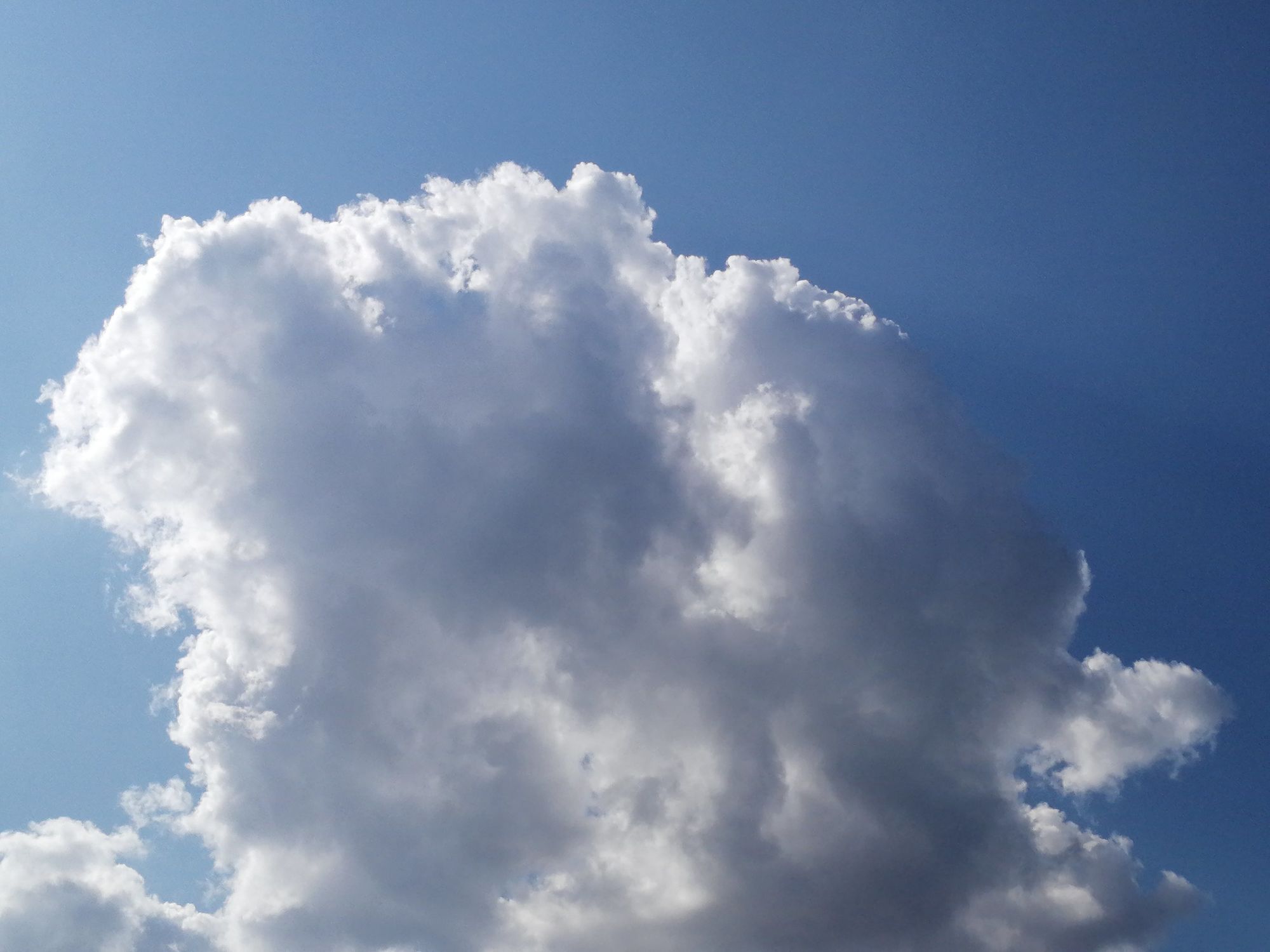 软天空安装下载_软天空安装_软天空
