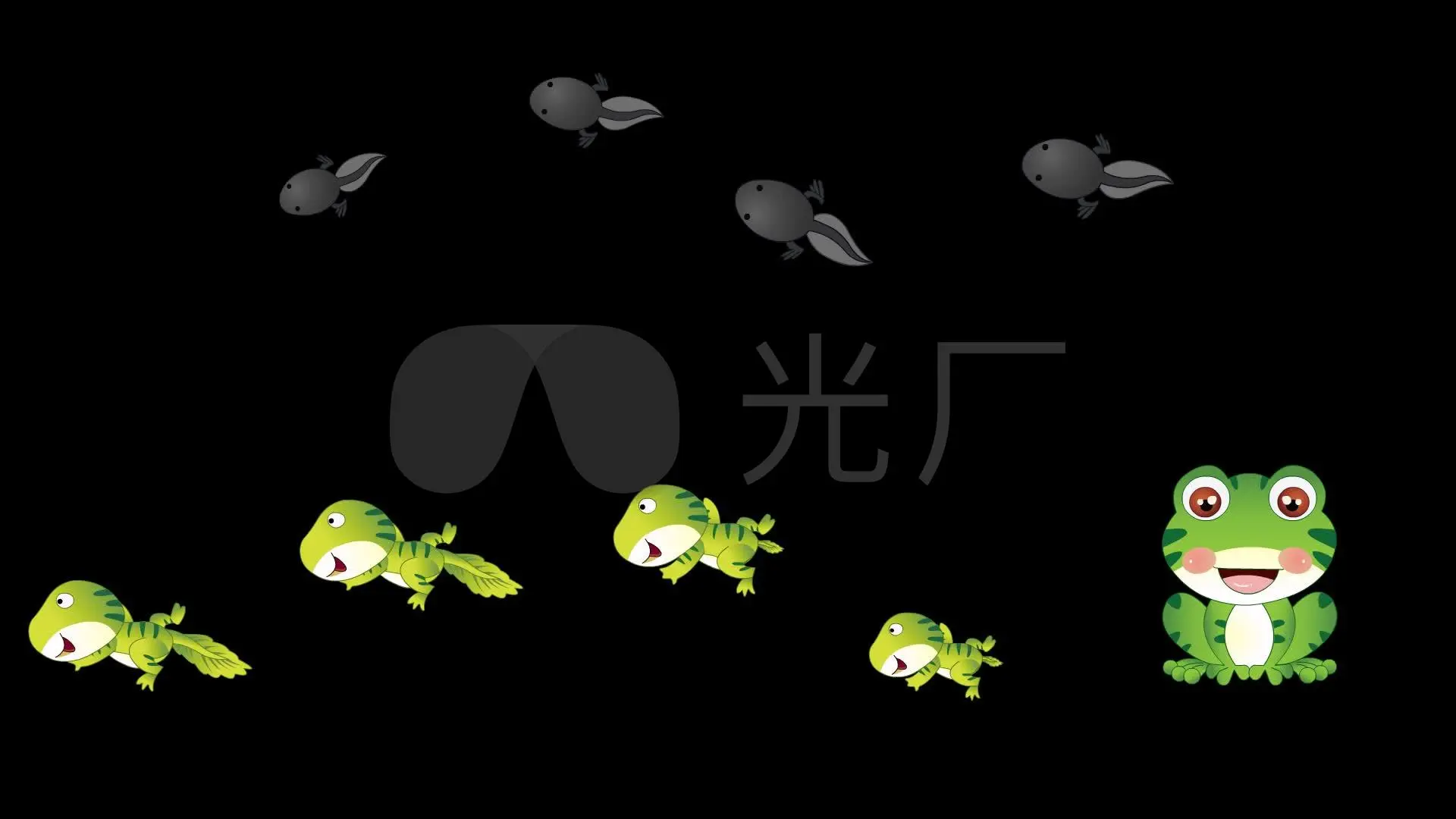 小蝌蚪视频高清免费观看下载动漫_蝌蚪动画视频_视频动漫高清观看蝌蚪免费下载