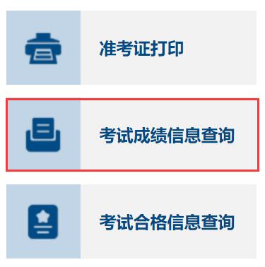 网上阅卷成绩查询网址_南昊网上阅卷学生_南昊网上阅卷成绩查询