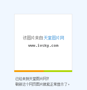 约克郡布丁_约克郡犬_约克郡