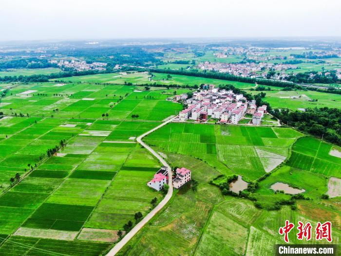 家国梦里的建筑最高多少级_家国梦_家国梦最强建筑组合
