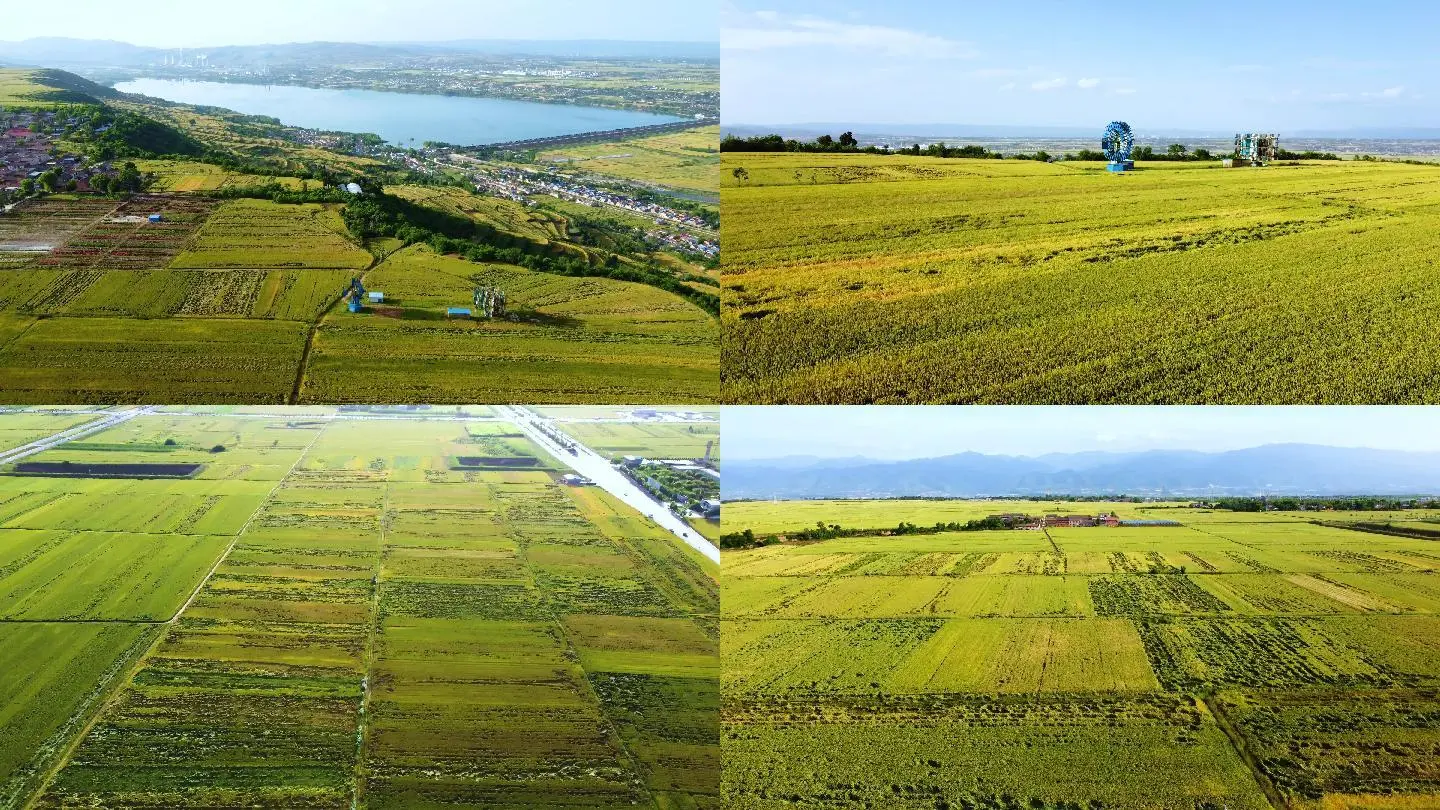 家国梦里的建筑最高多少级_家国梦最强建筑组合_家国梦