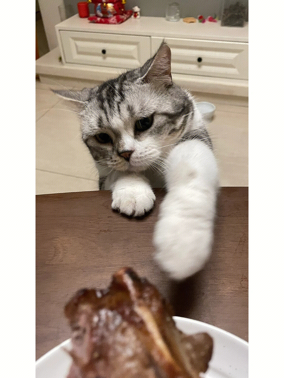 贪吃猫_猫贪吃的句子_猫贪吃怎么办