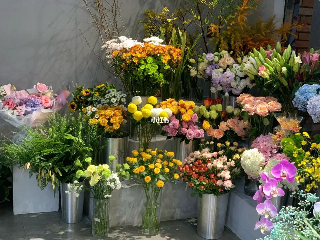 花樽与花_花戎_花吱