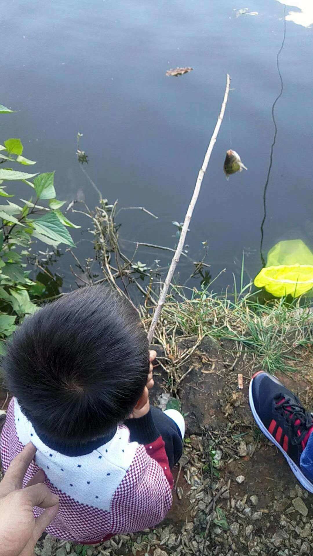 夏日垂钓9_夏日垂钓作文_夏日垂钓