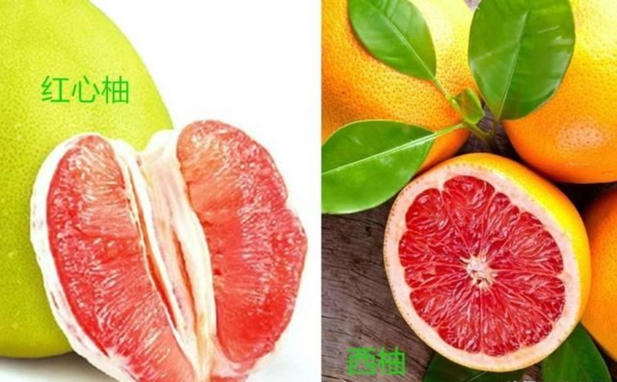 橙瓜_瓜橙子拼盘怎么做_瓜橙子