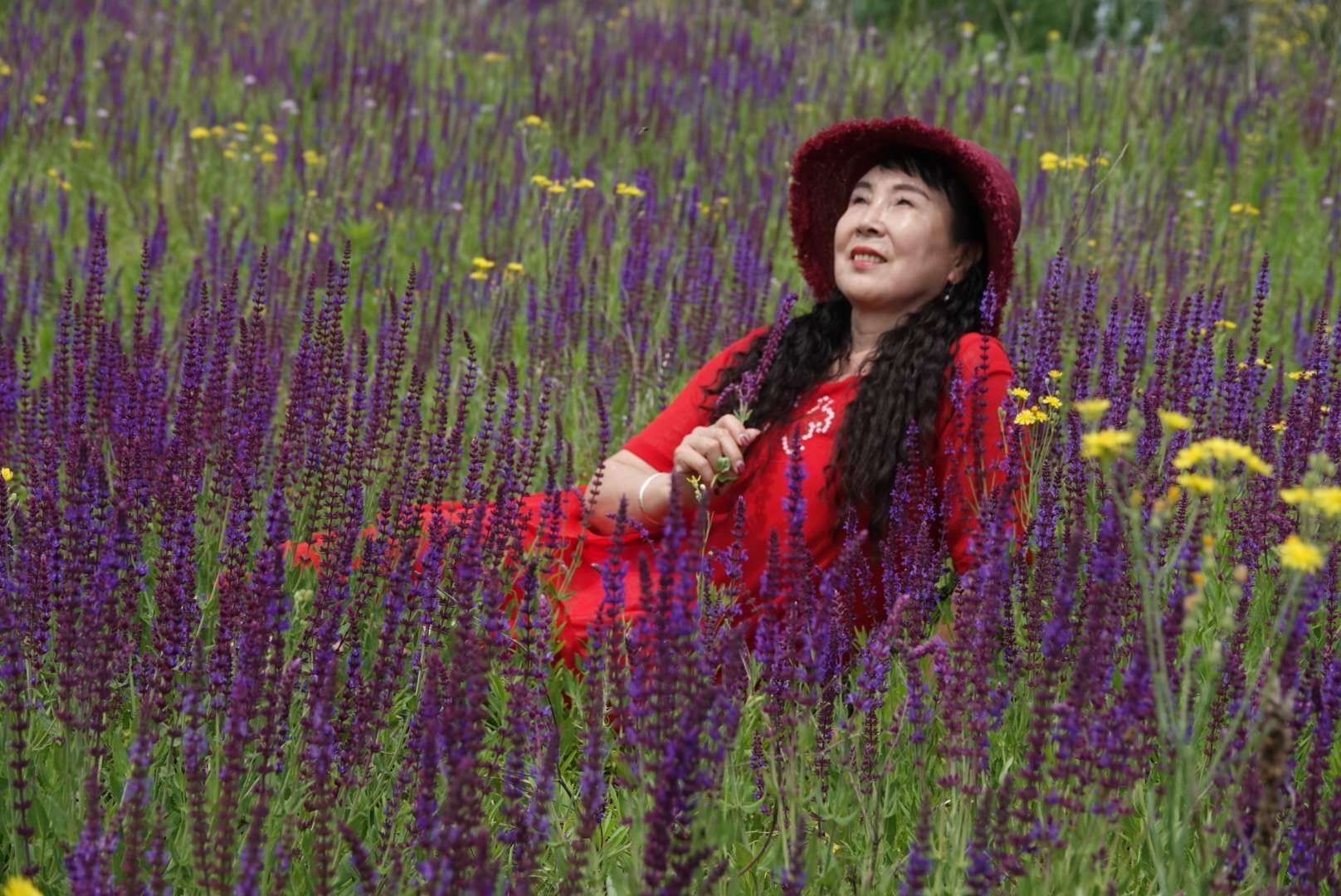 原千草_原千草_原千草