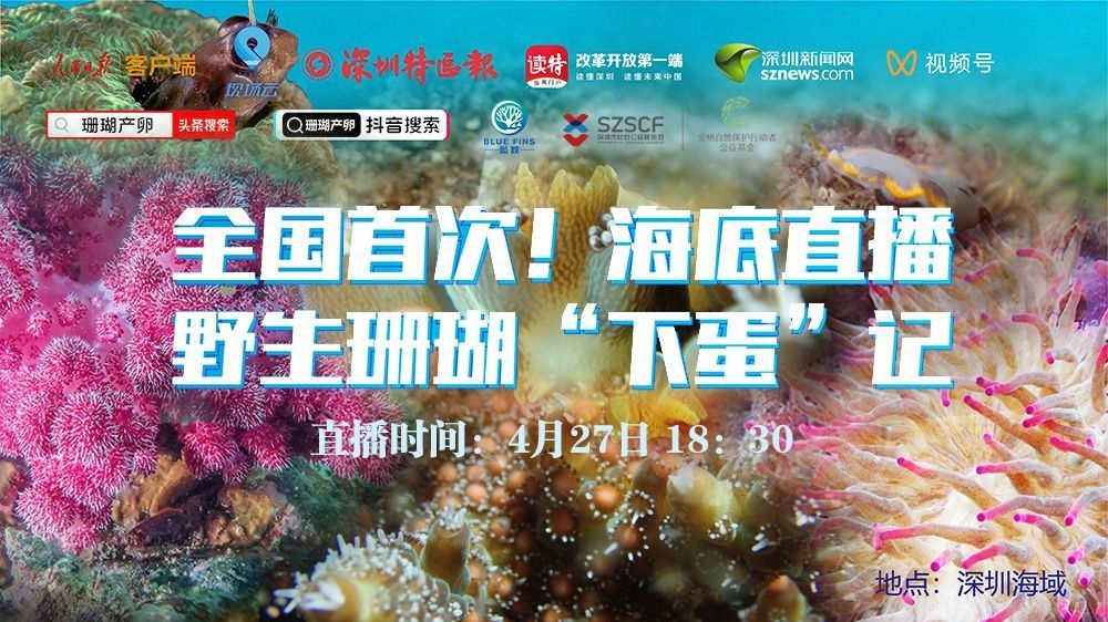 珊瑚颂下载_珊瑚海下载_珊瑚直播下载