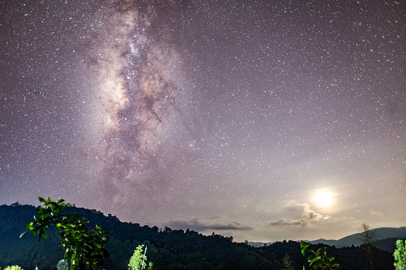 光遇雨林散落星光在哪_光遇雨淋散落的星光_光遇雨林散落的星光