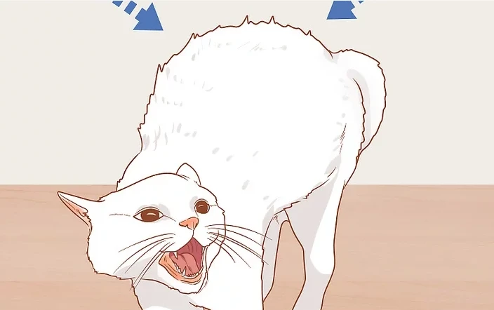 猫咪大作战_猫咪大作战敌人类型_猫咪大作战教程