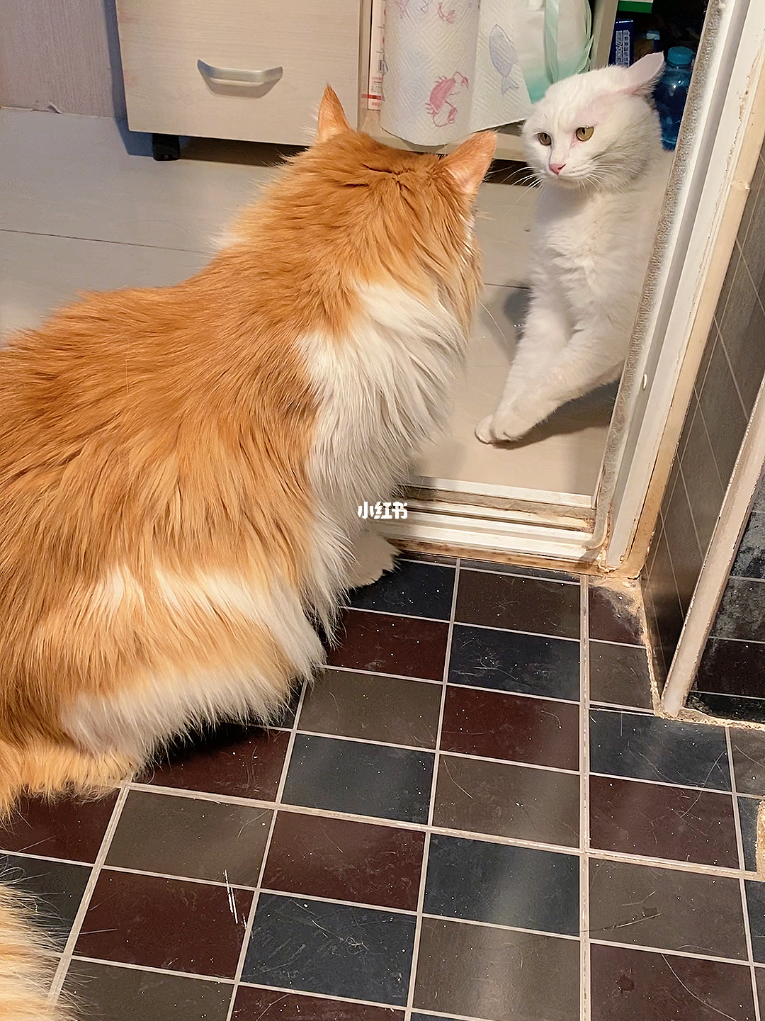 猫咪大作战教程_猫咪大作战_猫咪大作战敌人类型