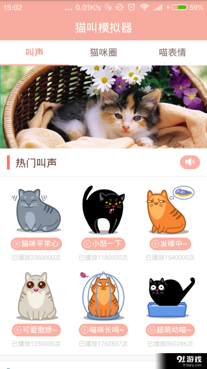猫咪app网页网址_骚猫咪网址_猫咪下载官方网址