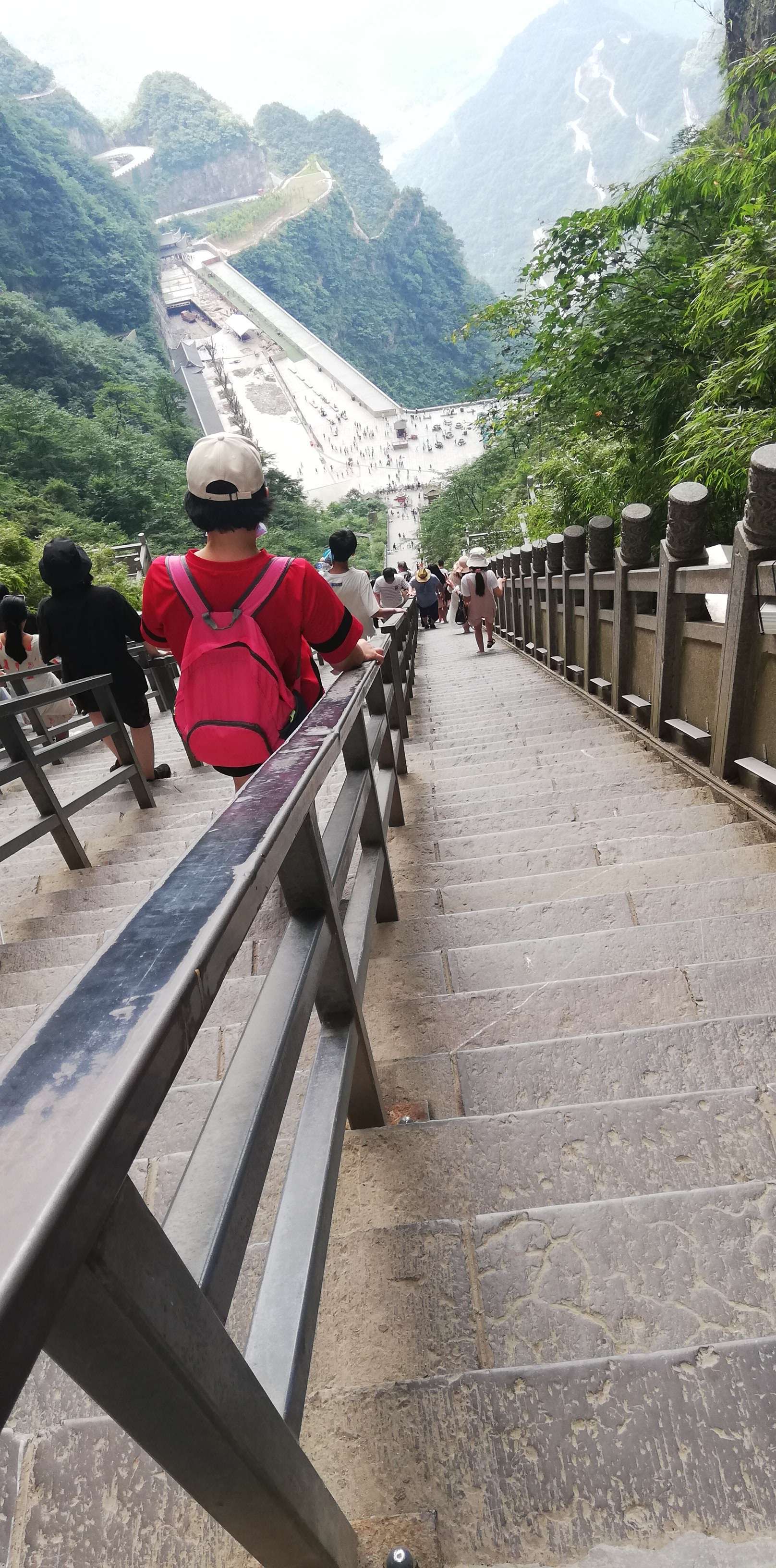 天梯是什么_天梯是什么意思_天梯是啥食物