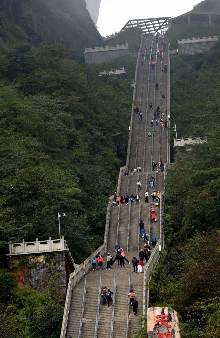 天梯是什么_天梯是什么意思_天梯是啥食物