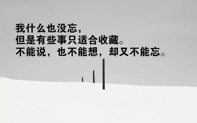 克劳泽_克洛泽空翻_克洛泽世界杯16球