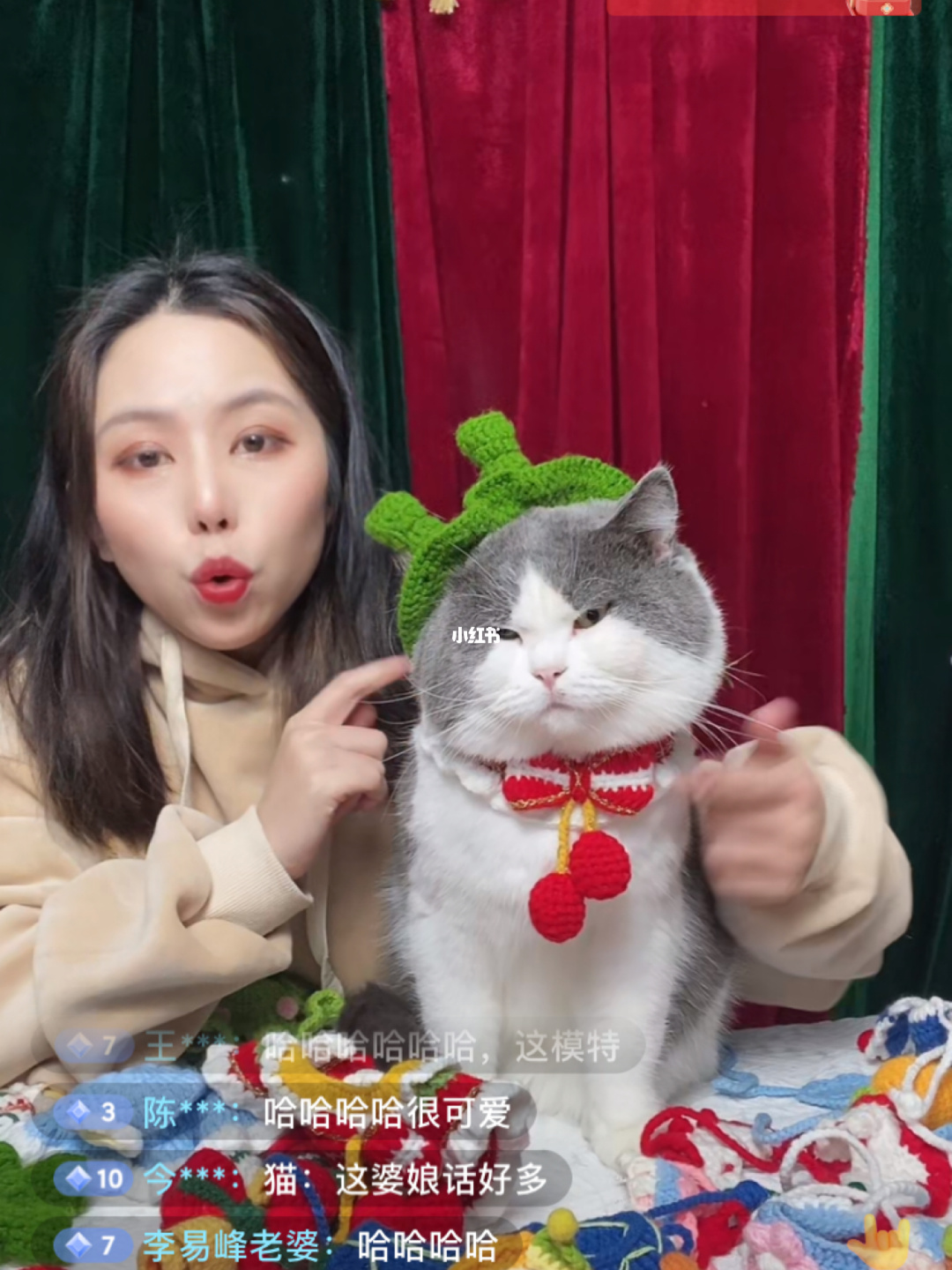 猫咪直播app_新版app猫咪软件破解版_猫咪app地址错误