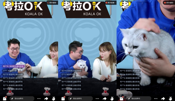 新版app猫咪软件破解版_猫咪app地址错误_猫咪直播app