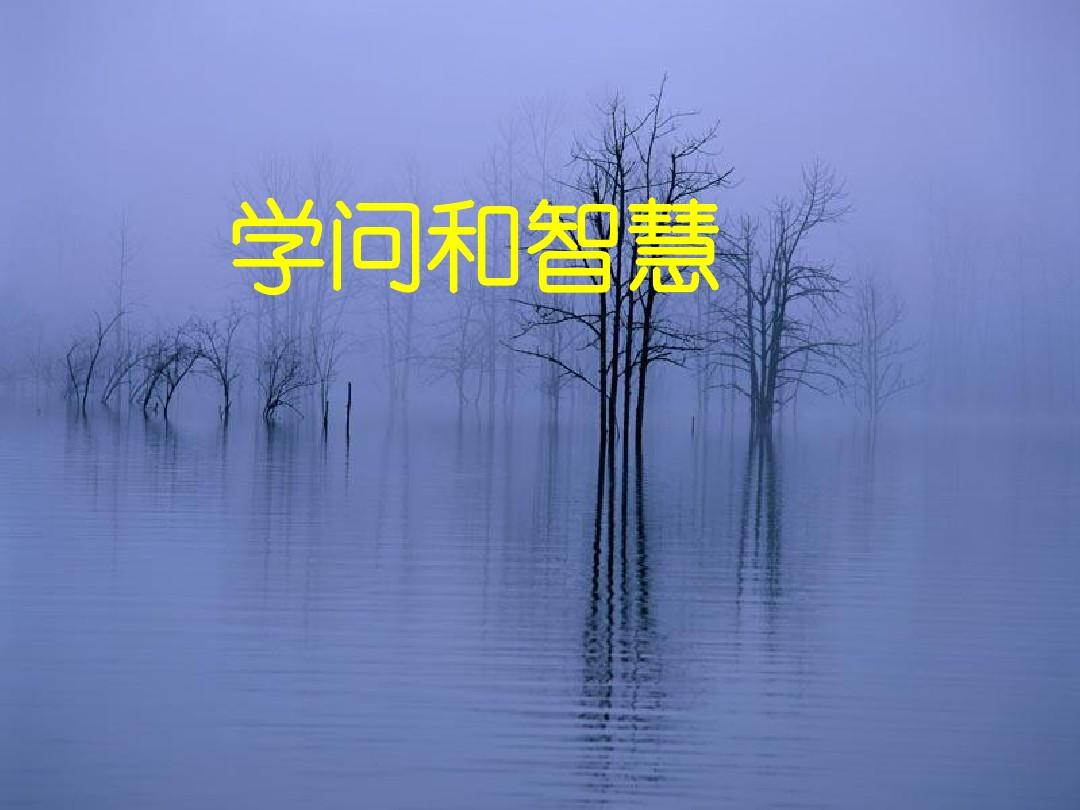 长弓燧龙_梅尔莫塔的暮色长弓_长弓