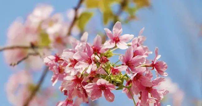 花疾_疾花体字_疾花空间设计