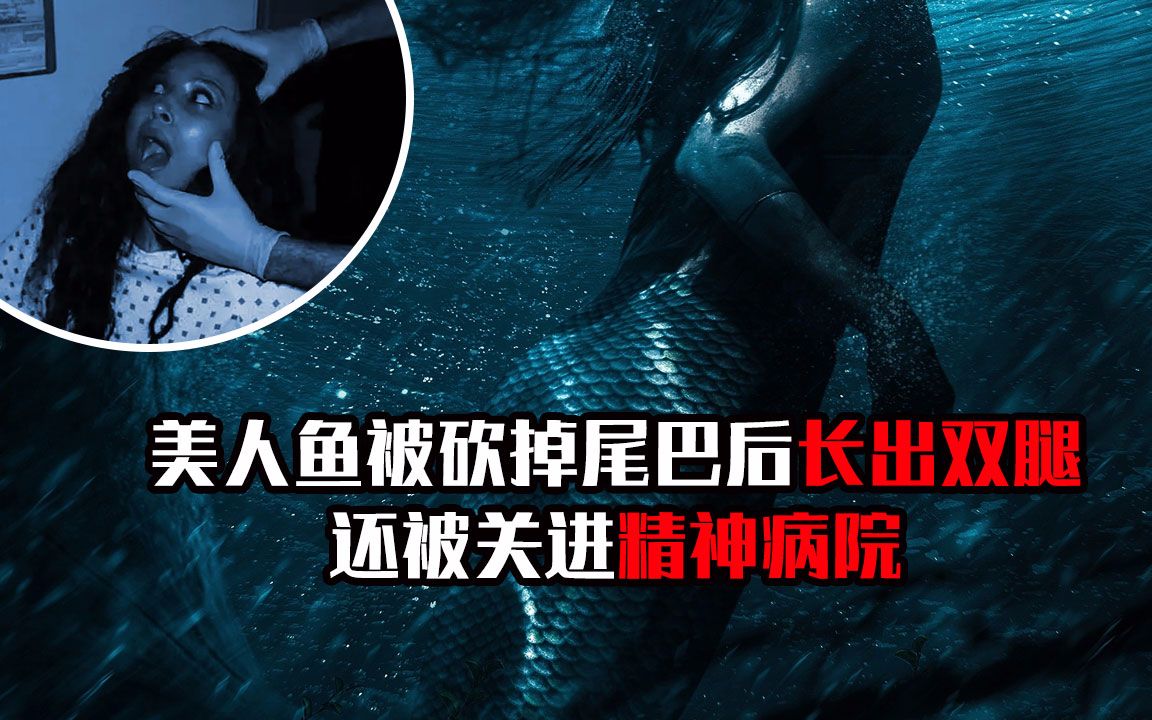 恐怖食人鱼4_恐怖食人鱼二_恐怖的人鱼