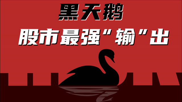 外卖黑天鹅是什么意思_黑天鹅外卖员是啥_黑天鹅外卖什么意思