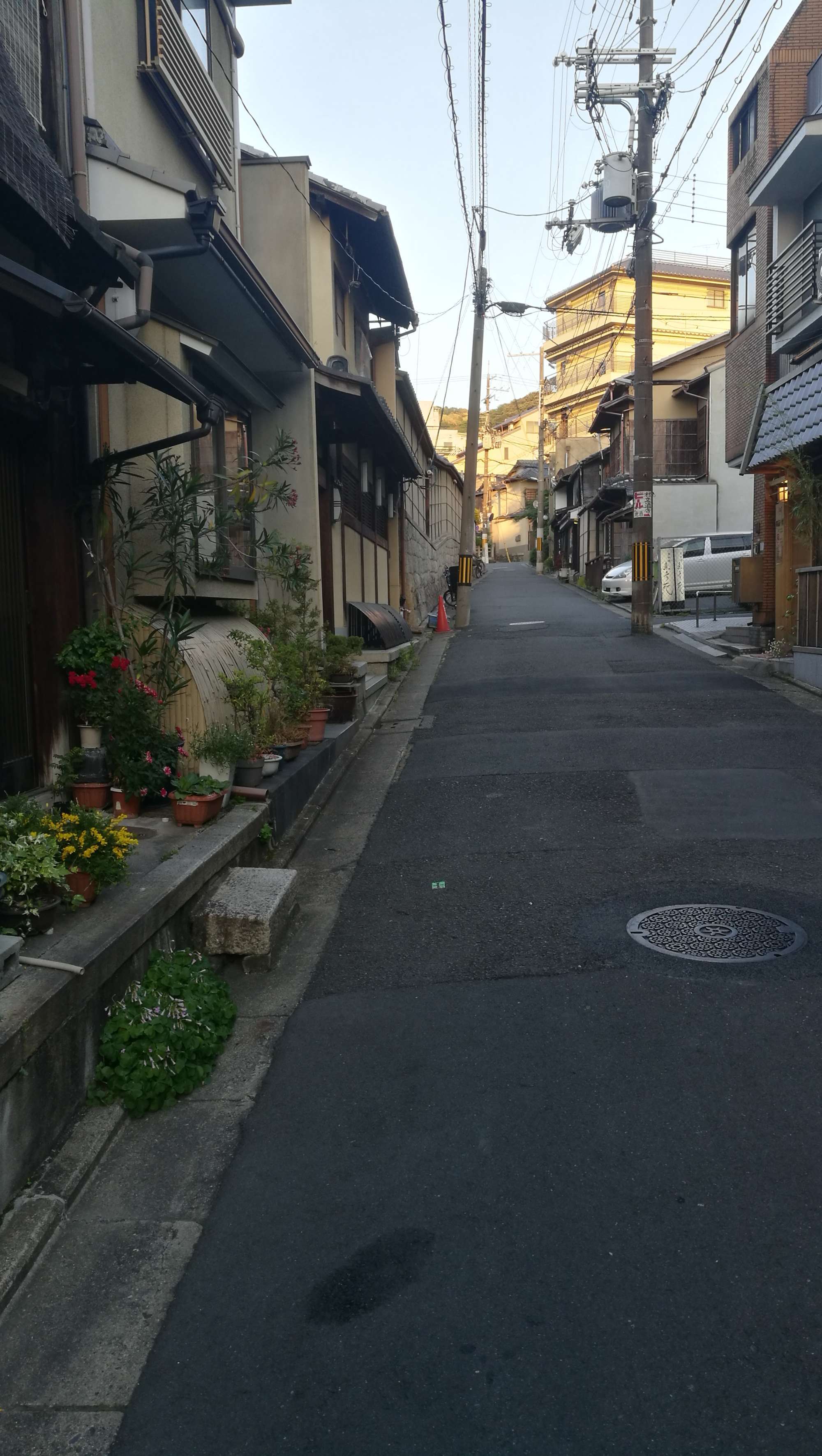 导航日本料理_日本导航_在日本用什么地图导航最准