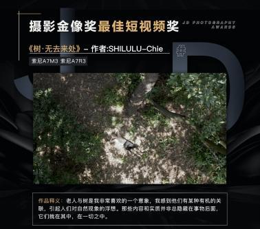毛视频_毛视频_毛视频