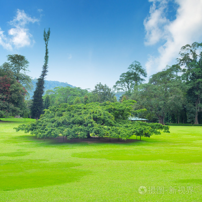 夏日公园的公厕怎么扶墙_夏日公园_夏日公园的公厕攻略