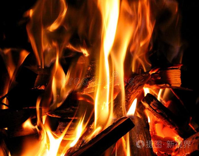 荒野求生秘技_荒野求生秘技_荒野求生秘技