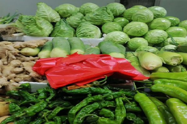 淘菜菜在哪里找_淘菜菜在哪里找_淘菜菜在哪里找